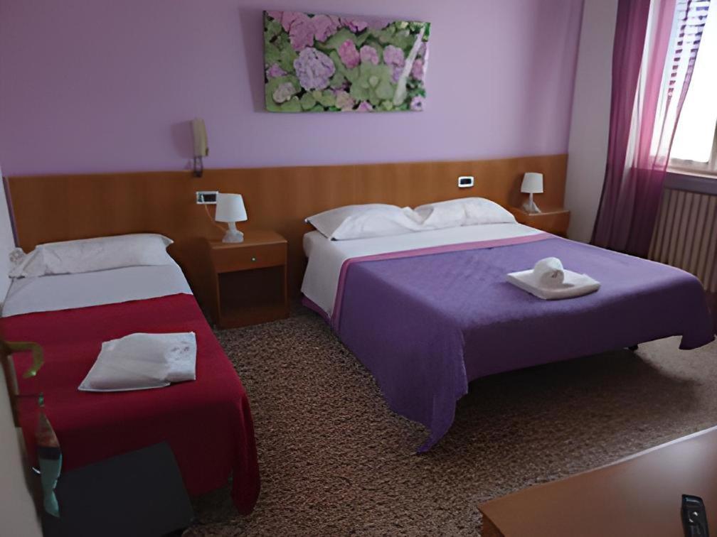 Hotel Delmare 利多迪卡马约雷 外观 照片